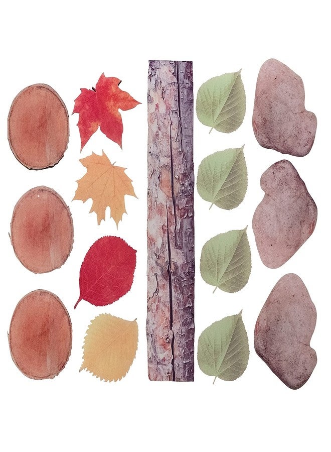 THE FRECKLED FROG - FF825 Nature's Footsteps - Set of 15 Nature-Inspired Rubber Mats - Ages 3+ - Forest-Themed Obstacle Course Mats for Games, Role Play and Physical Activity - Image 1